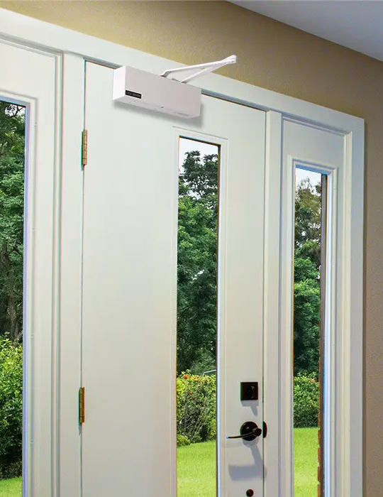 open-sesame-model-133